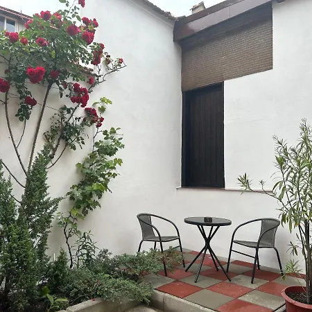 Fun House - Spacious Near Old Town * ブラショフ